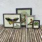 SMALL INDIAN GLASS PAINTING (MARINE NO.3)