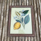 MEDIUM INDIAN GLASS PAINTING (FLORA NO.6)