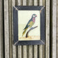 MINI INDIAN GLASS PAINTING (BIRD NO.23)
