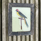 MINI INDIAN GLASS PAINTING (BIRD NO.30)