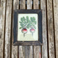 MINI INDIAN GLASS PAINTING (FLORA NO.10)
