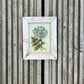MINI INDIAN GLASS PAINTING (FLORA NO.7)