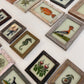 SMALL INDIAN GLASS PAINTING (MARINE NO.3)
