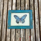 MINI INDIAN GLASS PAINTING (INSECT NO.1)