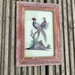 SMALL INDIAN GLASS PAINTING (BIRD NO.21)