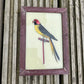 SMALL INDIAN GLASS PAINTING (BIRD NO.23)