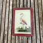 SMALL INDIAN GLASS PAINTING (BIRD NO.4)