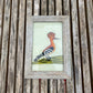 SMALL INDIAN GLASS PAINTING (BIRD NO.5)