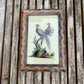 SMALL INDIAN GLASS PAINTING (BIRD NO.7)