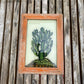 SMALL INDIAN GLASS PAINTING (FLORA NO.6)
