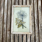 SMALL INDIAN GLASS PAINTING (FLORA NO.9)