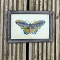 SMALL INDIAN GLASS PAINTING (INSECT NO.16)
