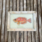 SMALL INDIAN GLASS PAINTING (MARINE NO.8)